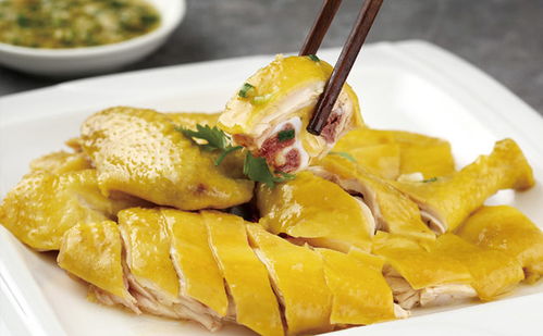 新手怎樣開(kāi)快餐店,有哪些建議