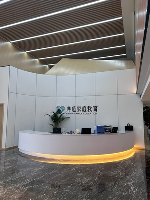 解鎖知識之鑰 鄭州洋蔥教育信息咨詢的價值與使命